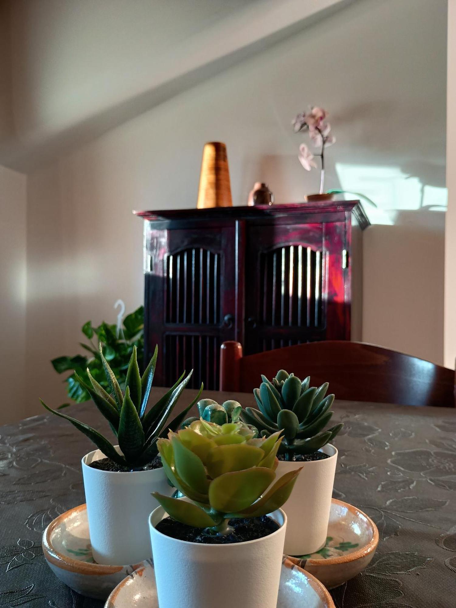 Villa Marysa Studio Apartment 지아르디니낙소스 외부 사진